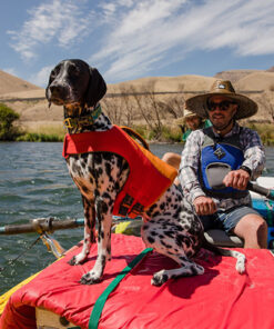 Alternative view of Ruffwear Float Coat, Rød
