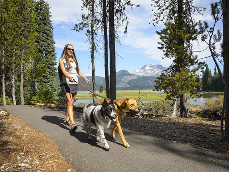 Ruffwear Double Track Coupler - Image 3