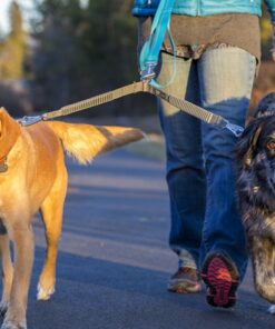 Alternative view of Ruffwear Double Track Coupler