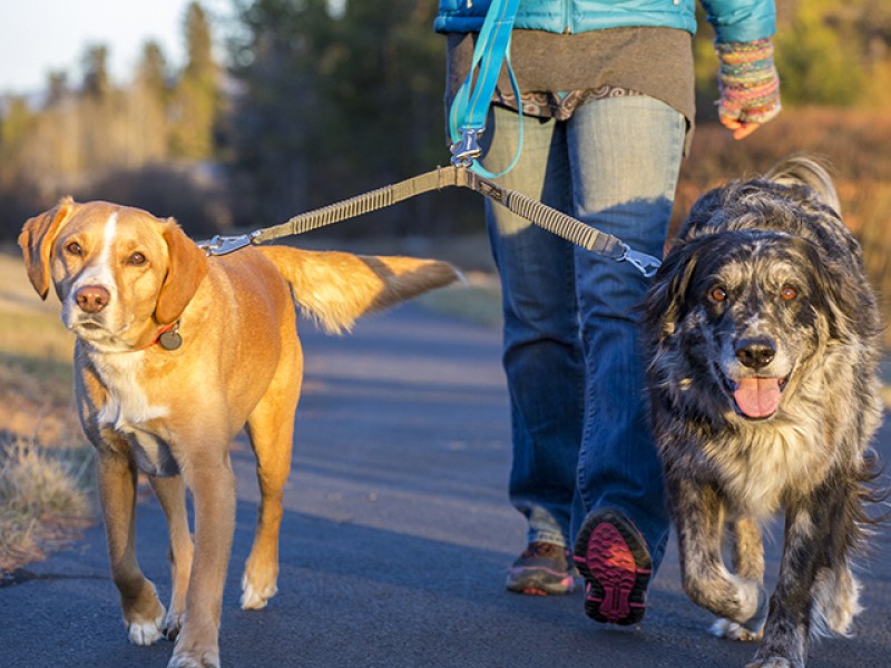 Ruffwear Double Track Coupler - Image 2