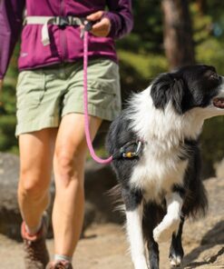 Ruffwear Knot-A-Førerline - Image 3