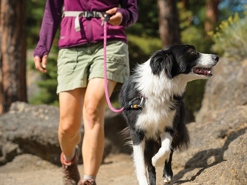 Ruffwear Knot-A-Førerline - Image 3