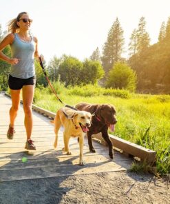 Ruffwear Double Track Coupler - Image 4