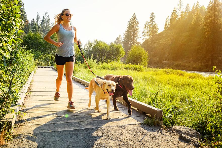 Ruffwear Double Track Coupler - Image 4