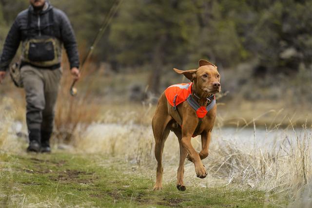 Ruffwear Track sikkerhedsvest - Image 6