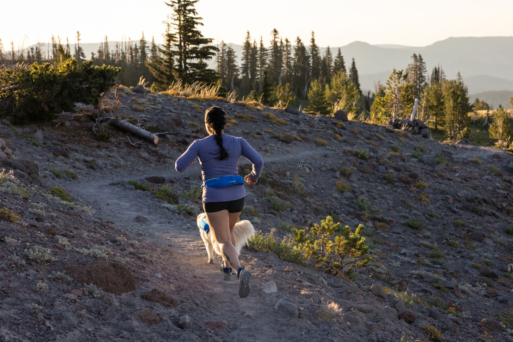 Ruffwear Trail Runner Belt - Image 3