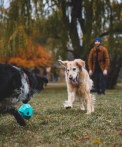 Ruffwear Gnawt-a-Rock - Image 8