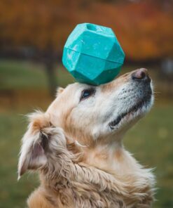 Ruffwear Gnawt-a-Rock - Image 7