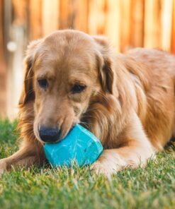 Ruffwear Gnawt-a-Rock - Image 6