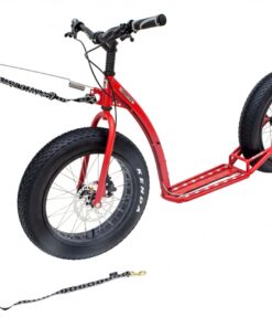 KOSTKA RAPTOR MAX DOG (G5)