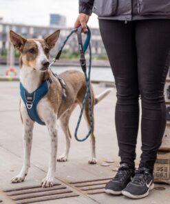Alternative view of DOG Copenhagen Comfort Walk Pro™ Sele