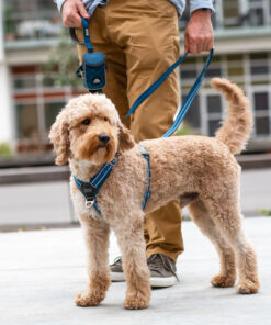 DOG Copenhagen Comfort Walk Air™ Sele - Image 14