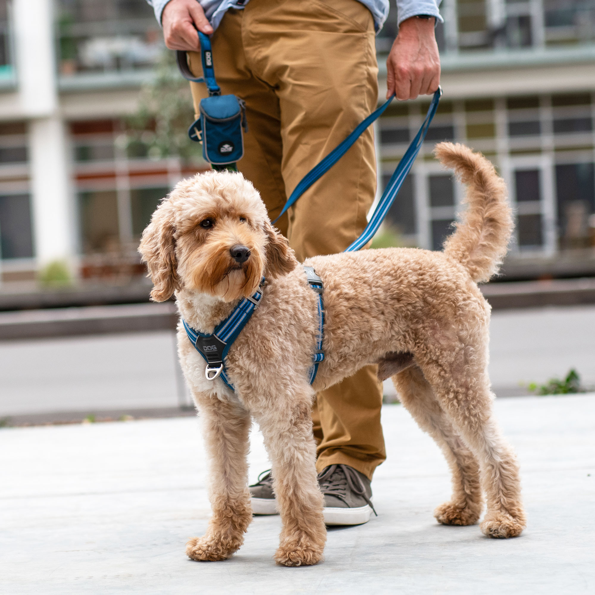 DOG Copenhagen Comfort Walk Air™ Sele - Image 14