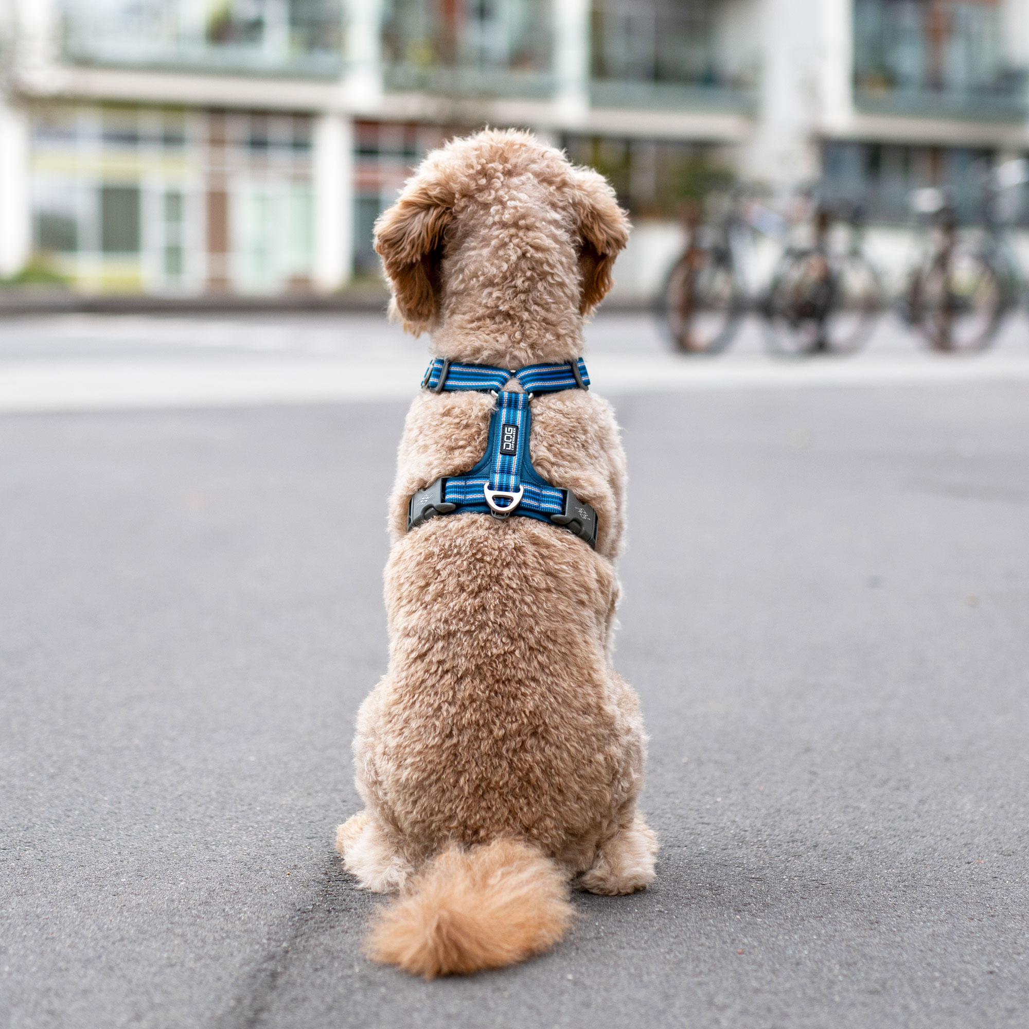 DOG Copenhagen Comfort Walk Air™ Sele - Image 15