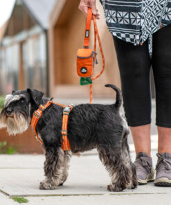 DOG Copenhagen Comfort Walk Air™ Sele - Image 16