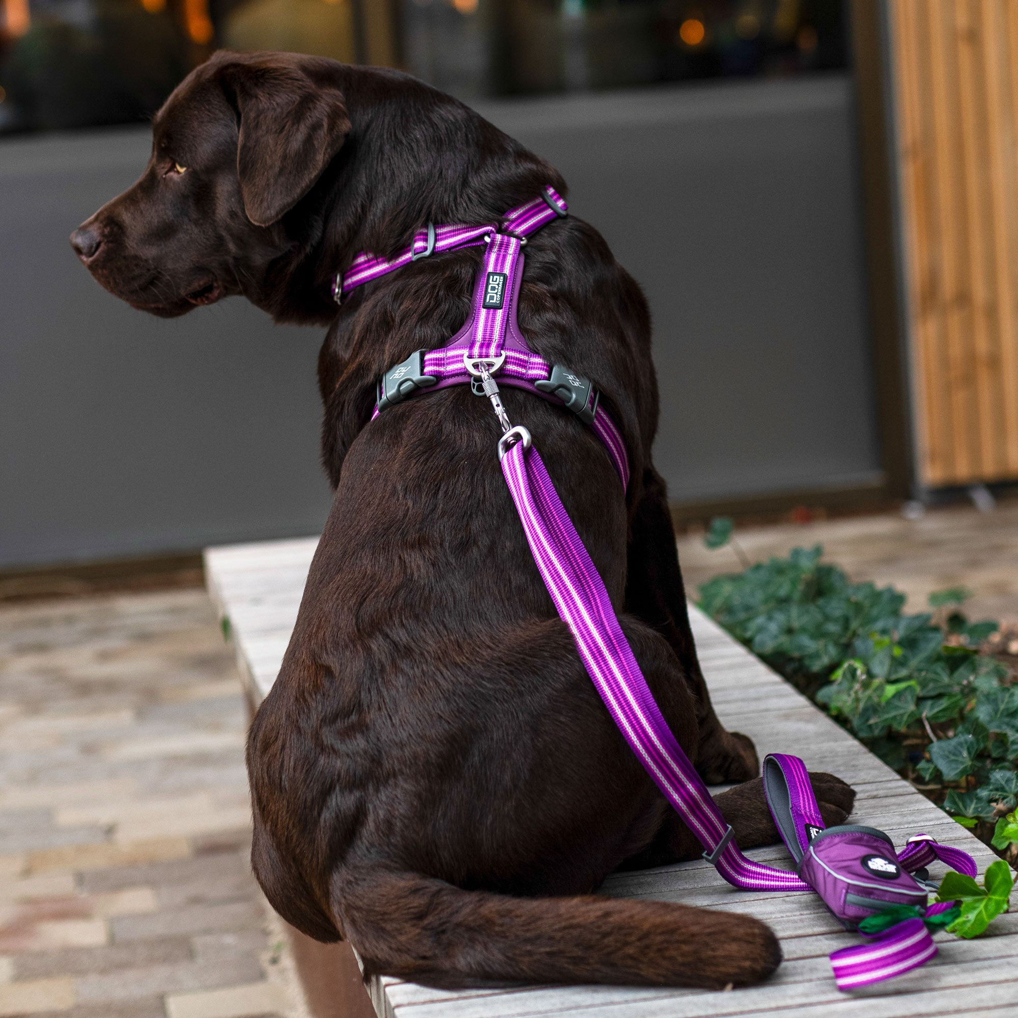 DOG Copenhagen Comfort Walk Air™ Sele - Image 17