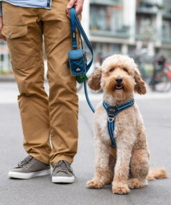 DOG Copenhagen Comfort Walk Air™ Sele - Image 4