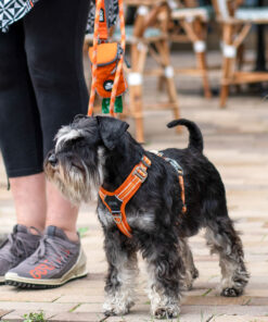 DOG Copenhagen Comfort Walk Air™ Sele - Image 5