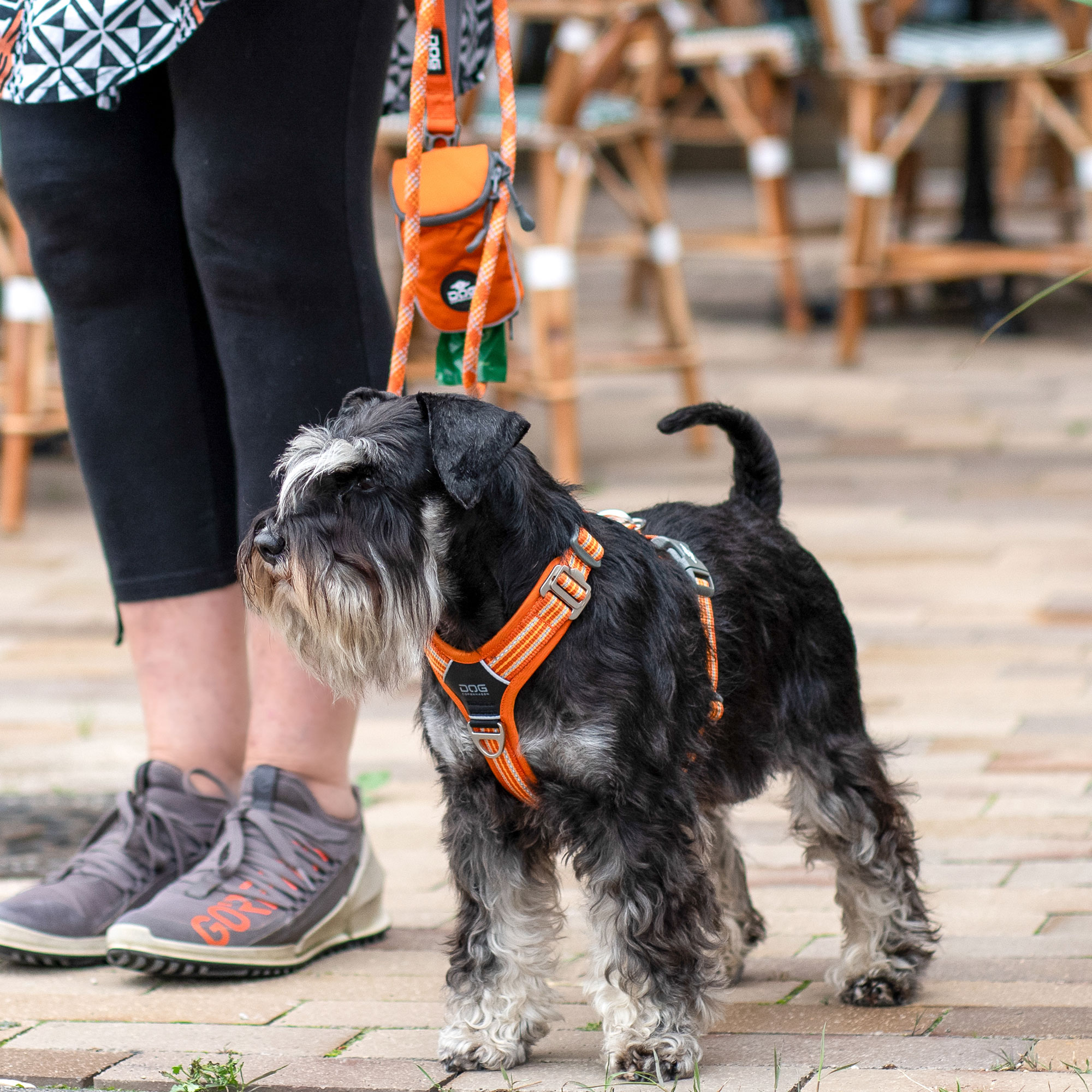 DOG Copenhagen Comfort Walk Air™ Sele - Image 5
