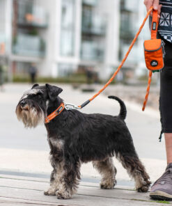 Alternative view of Dog Copenhagen Urban Style™ Halsbånd