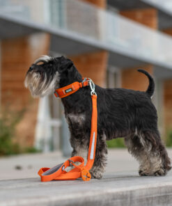 Dog Copenhagen Urban Trail™ Line - Image 3