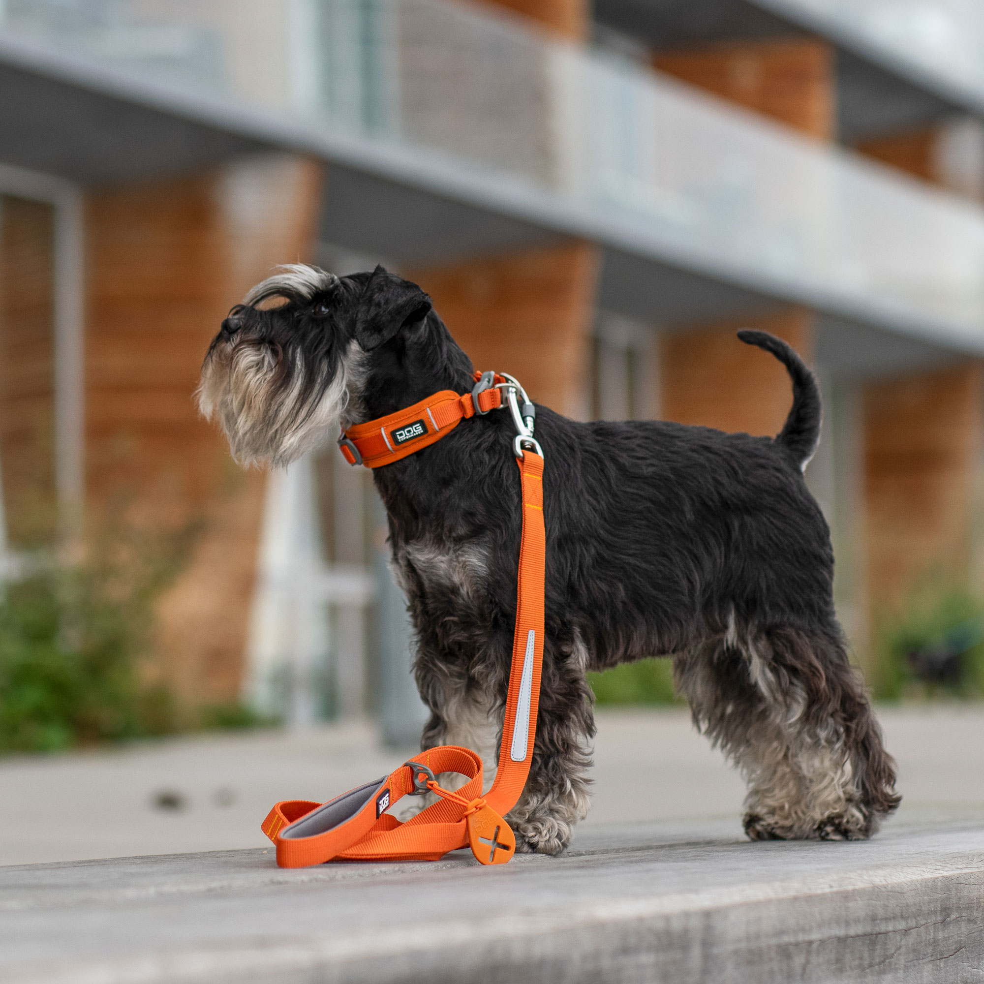 Dog Copenhagen Urban Trail™ Line - Image 3