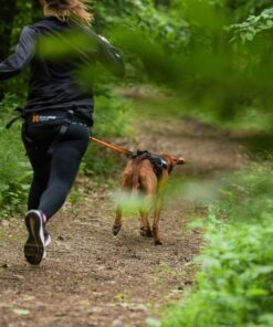 Non-stop Dogwear Canicross-sæt, M/L - Image 7