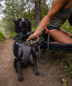 Ruffwear Roamer Bungee Førerline - Image 4