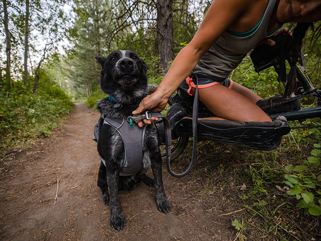 Ruffwear Roamer Bungee Førerline - Image 4