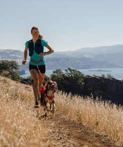 Ruffwear Roamer Bungee Førerline - Image 5