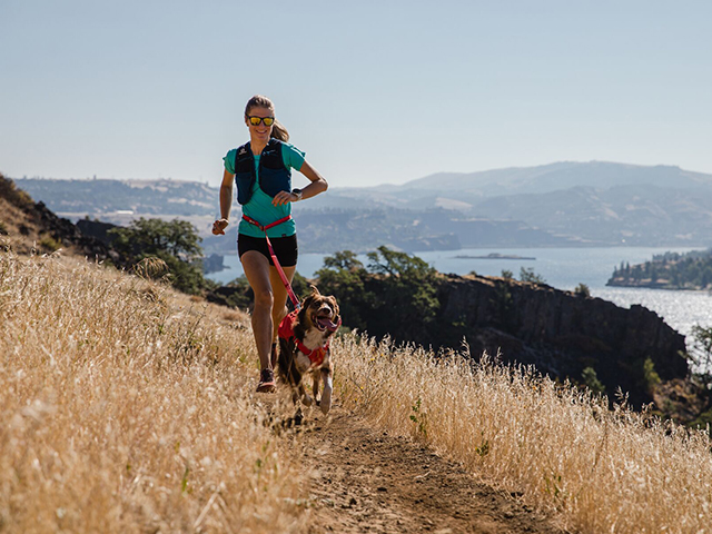 Ruffwear Roamer Bungee Førerline - Image 5