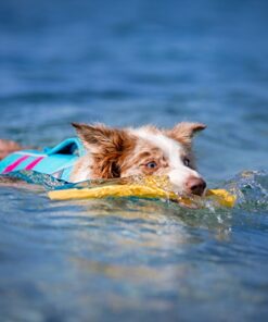 Alternative view of Ruffwear Gnawt-a-Stick, gul