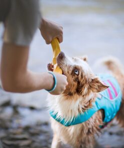 Ruffwear Gnawt-a-Stick, gul - Image 3