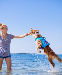 Ruffwear Gnawt-a-Stick, gul - Image 5