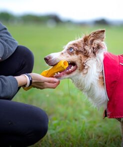 Ruffwear Gnawt-a-Stick, gul - Image 4