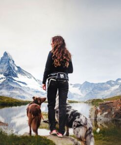 Non-stop Dogwear Trekking Belt - Image 2