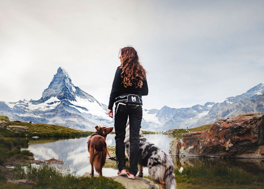 Non-stop Dogwear Trekking Belt - Image 2