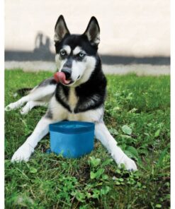 Kurgo Zippy Bowl - Image 6