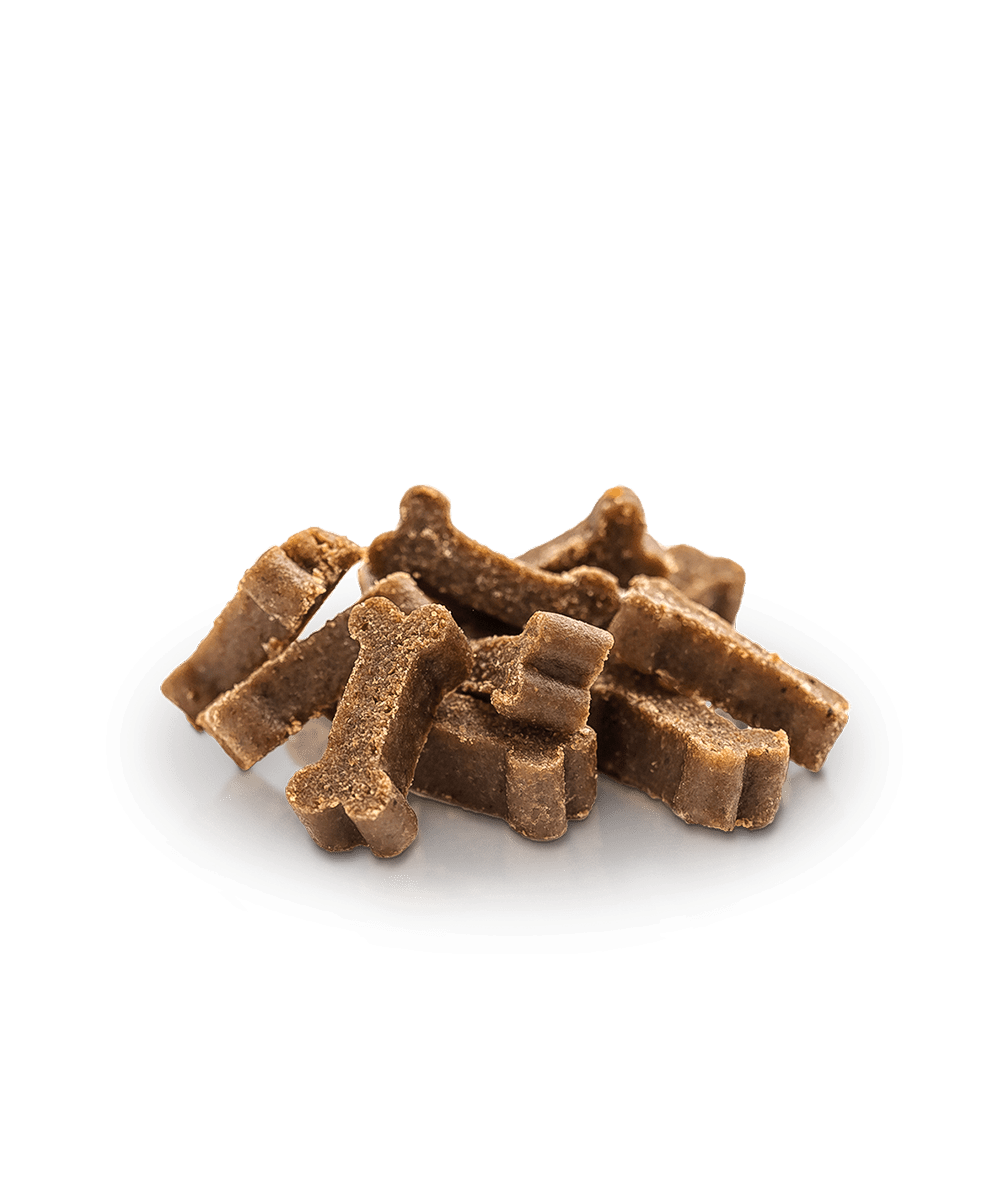 Essential Lamb Mini Delights