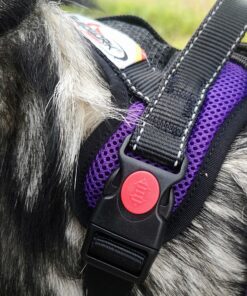 Sledwork Mountain Pro Harness - Image 4