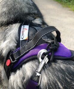 Alternative view of Sledwork Mountain Pro Harness