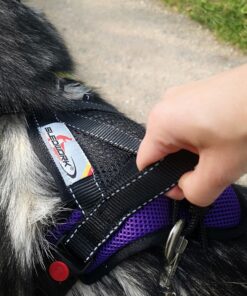 Sledwork Mountain Pro Harness - Image 3