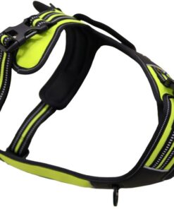 Axaeco Harness 4 Season Power - Image 3