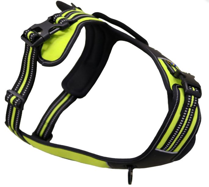 Axaeco Harness 4 Season Power - Image 3