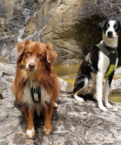 Axaeco Harness 4 Season Power - Image 8