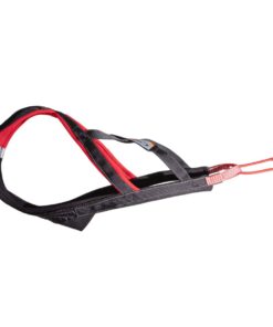 Sledwork Xback Active G3