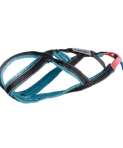 Sledwork Xback Active Mini