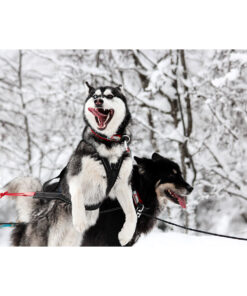 Sledwork Xback Active G3 - Image 14