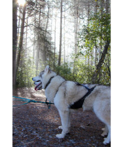 Sledwork Xback Active G3 - Image 4