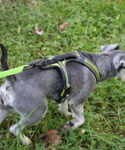 Axaeco Harness 4 Season Power - Image 13